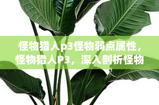 怪物猎人p3怪物弱点属性，怪物猎人P3，深入剖析怪物弱点