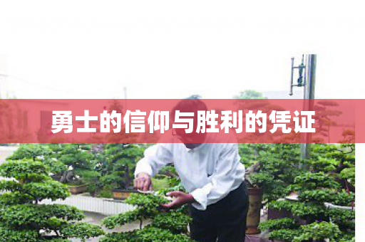 勇士的信仰与胜利的凭证 勇士的信仰与胜利的凭证