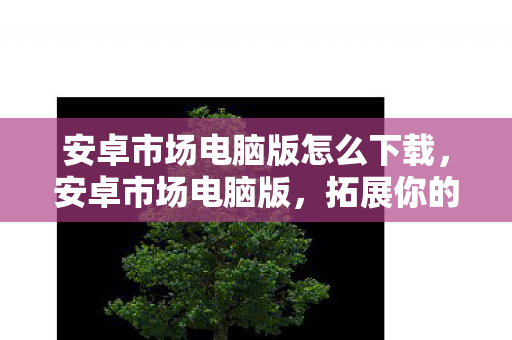 安卓市场电脑版怎么下载,安卓市场电脑版,拓展你的数字生活新边界 安卓市场电脑版怎么下载,安卓市场电脑版,拓展你的数字生活新边界