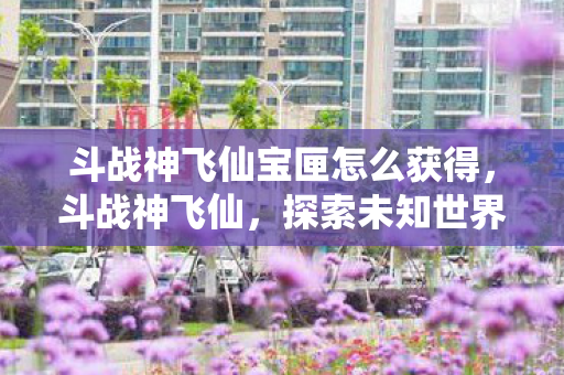 斗战神飞仙宝匣怎么获得,斗战神飞仙,探索未知世界的奇幻之旅 斗战神飞仙宝匣怎么获得,斗战神飞仙,探索未知世界的奇幻之旅