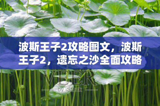 波斯王子2攻略图文，波斯王子2，遗忘之沙全面攻略