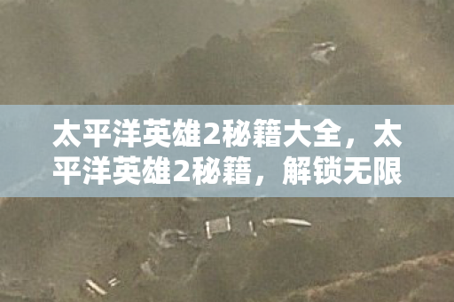 太平洋英雄2秘籍大全，太平洋英雄2秘籍，解锁无限潜能的实战攻略