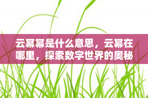 云幂幂是什么意思，云幂在哪里，探索数字世界的奥秘