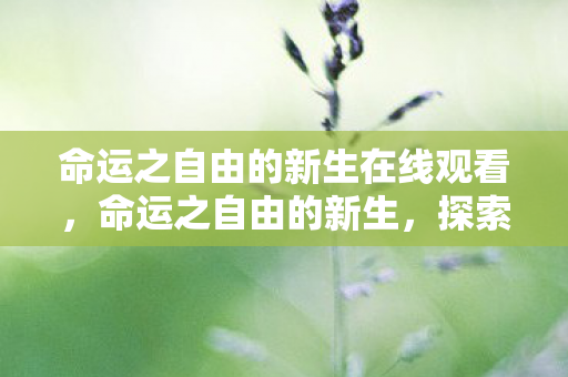 命运之自由的新生在线观看,命运之自由的新生,探索游戏世界的无限可能 命运之自由的新生在线观看,命运之自由的新生,探索游戏世界的无限可能