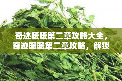 奇迹暖暖第二章攻略大全,奇迹暖暖第二章攻略,解锁新篇章的时尚之旅 奇迹暖暖第二章攻略大全,奇迹暖暖第二章攻略,解锁新篇章的时尚之旅