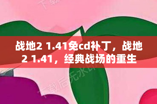 战地2 1.41免cd补丁,战地2 1.41,经典战场的重生 战地2 1.41免cd补丁,战地2 1.41,经典战场的重生