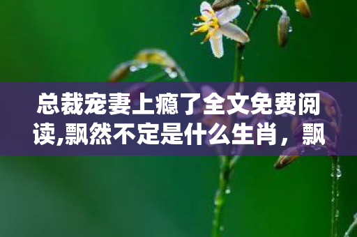 总裁宠妻上瘾了全文免费阅读,飘然不定是什么生肖，飘飘欲仙总裁的恩宠