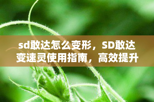 sd敢达怎么变形,SD敢达变速灵使用指南,高效提升游戏体验 sd敢达怎么变形,SD敢达变速灵使用指南,高效提升游戏体验