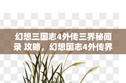 幻想三国志4外传三界秘闻录 攻略,幻想国志4外传界秘闻录 幻想三国志4外传三界秘闻录 攻略,幻想国志4外传界秘闻录