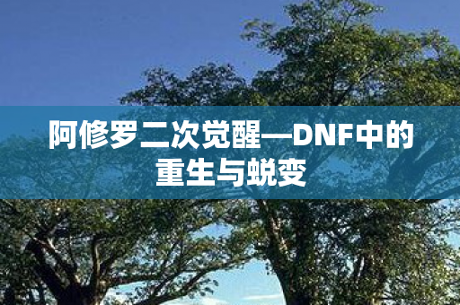 阿修罗二次觉醒—DNF中的重生与蜕变 阿修罗二次觉醒—DNF中的重生与蜕变