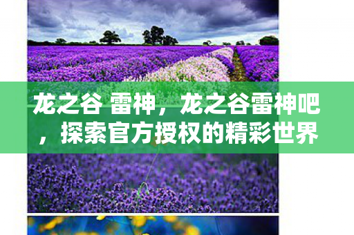 龙之谷 雷神，龙之谷雷神吧，探索官方授权的精彩世界