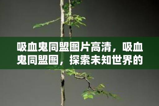吸血鬼同盟图片高清,吸血鬼同盟图,探索未知世界的神秘之旅 吸血鬼同盟图片高清,吸血鬼同盟图,探索未知世界的神秘之旅