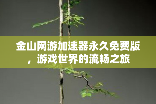金山网游加速器永久免费版,游戏世界的流畅之旅 金山网游加速器永久免费版,游戏世界的流畅之旅