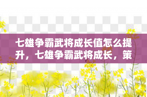 七雄争霸武将成长值怎么提升，七雄争霸武将成长，策略与智慧的双重磨砺