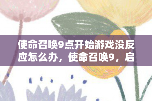 使命召唤9点开始游戏没反应怎么办，使命召唤9，启动无响应的困扰与解决之道