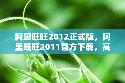 阿里旺旺2012正式版,阿里旺旺2011官方下载,高效沟通,助力电商发展 阿里旺旺2012正式版,阿里旺旺2011官方下载,高效沟通,助力电商发展