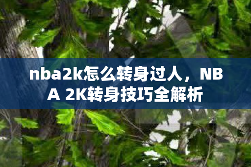nba2k怎么转身过人,NBA 2K转身技巧全解析 nba2k怎么转身过人,NBA 2K转身技巧全解析