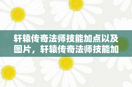 轩辕传奇法师技能加点以及图片,轩辕传奇法师技能加点攻略 轩辕传奇法师技能加点以及图片,轩辕传奇法师技能加点攻略
