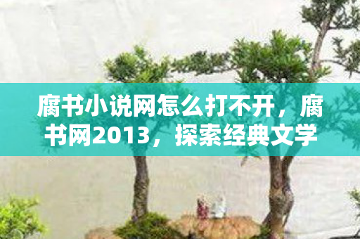 腐书小说网怎么打不开,腐书网2013,探索经典文学的新世界 腐书小说网怎么打不开,腐书网2013,探索经典文学的新世界