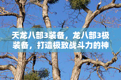 天龙八部3装备,龙八部3极装备,打造极致战斗力的神器 天龙八部3装备,龙八部3极装备,打造极致战斗力的神器