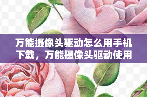 万能摄像头驱动怎么用手机下载,万能摄像头驱动使用指南 万能摄像头驱动怎么用手机下载,万能摄像头驱动使用指南