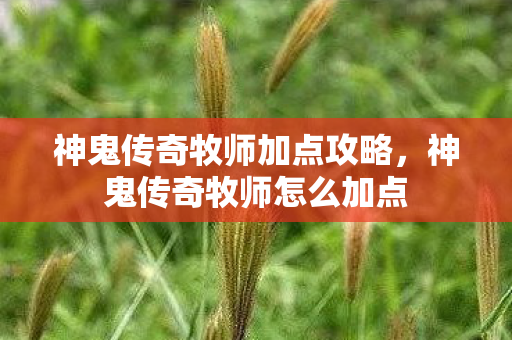 神鬼传奇牧师加点攻略,神鬼传奇牧师怎么加点 神鬼传奇牧师加点攻略,神鬼传奇牧师怎么加点