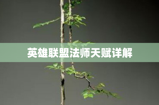 英雄联盟法师天赋详解 英雄联盟法师天赋详解