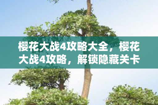 樱花大战4攻略大全，樱花大战4攻略，解锁隐藏关卡与角色全攻略