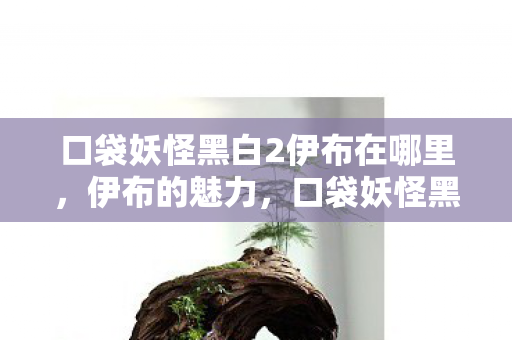 口袋妖怪黑白2伊布在哪里，伊布的魅力，口袋妖怪黑白2中的多面手