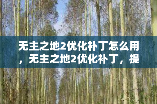 无主之地2优化补丁怎么用,无主之地2优化补丁,提升游戏体验的必备利器 无主之地2优化补丁怎么用,无主之地2优化补丁,提升游戏体验的必备利器