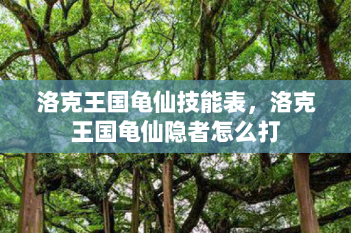 洛克王国龟仙技能表，洛克王国龟仙隐者怎么打