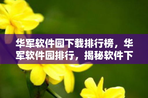 华军软件园下载排行榜，华军软件园排行，揭秘软件下载背后的真相
