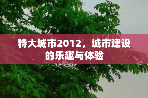 特大城市2012,城市建设的乐趣与体验 特大城市2012,城市建设的乐趣与体验