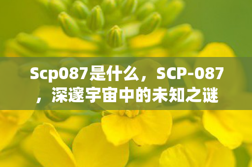 Scp087是什么,SCP-087,深邃宇宙中的未知之谜 Scp087是什么,SCP-087,深邃宇宙中的未知之谜