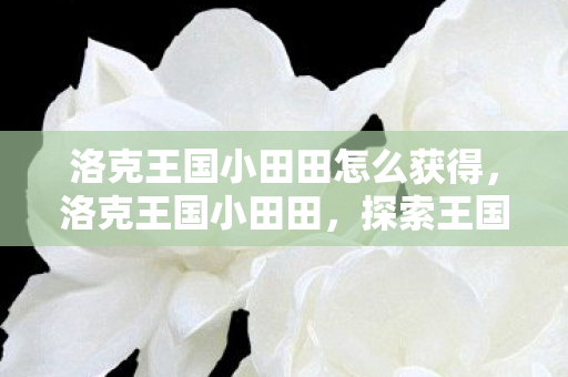 洛克王国小田田怎么获得，洛克王国小田田，探索王国中的奇妙冒险