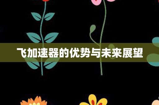 飞加速器的优势与未来展望 飞加速器的优势与未来展望