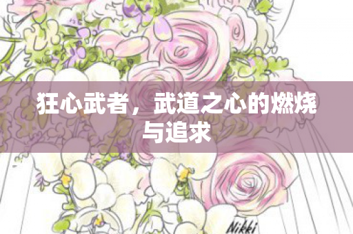 狂心武者,武道之心的燃烧与追求 狂心武者,武道之心的燃烧与追求