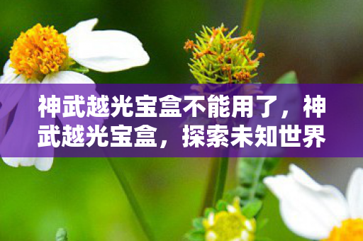 神武越光宝盒不能用了，神武越光宝盒，探索未知世界的奇妙之旅