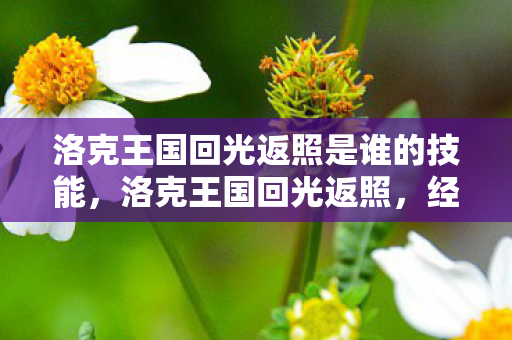 洛克王国回光返照是谁的技能,洛克王国回光返照,经典游戏的重生之路 洛克王国回光返照是谁的技能,洛克王国回光返照,经典游戏的重生之路