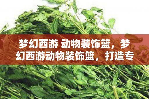 梦幻西游 动物装饰篮,梦幻西游动物装饰篮,打造专属的宠物乐园 梦幻西游 动物装饰篮,梦幻西游动物装饰篮,打造专属的宠物乐园