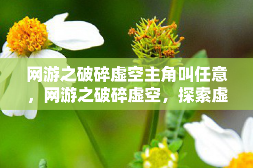 网游之破碎虚空主角叫任意，网游之破碎虚空，探索虚拟世界的无限可能