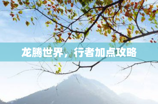 龙腾世界,行者加点攻略 龙腾世界,行者加点攻略