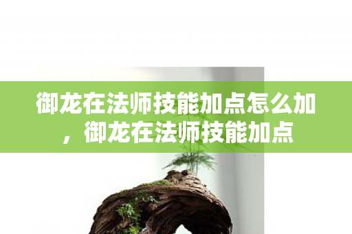 御龙在法师技能加点怎么加，御龙在法师技能加点