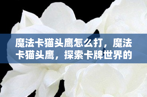 魔法卡猫头鹰怎么打,魔法卡猫头鹰,探索卡牌世界的奇妙之旅 魔法卡猫头鹰怎么打,魔法卡猫头鹰,探索卡牌世界的奇妙之旅