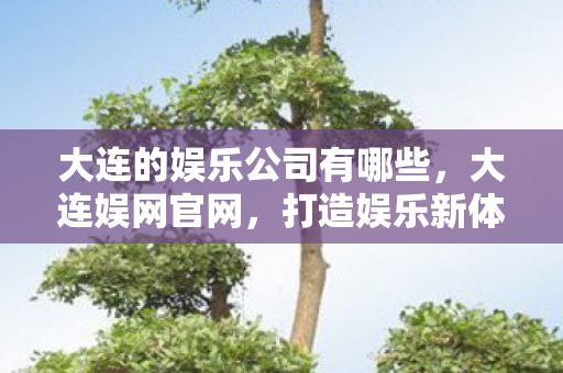 大连的娱乐公司有哪些，大连娱网官网，打造娱乐新体验，引领数字娱乐新风尚