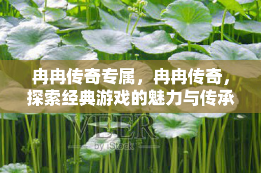 冉冉传奇专属,冉冉传奇,探索经典游戏的魅力与传承 冉冉传奇专属,冉冉传奇,探索经典游戏的魅力与传承
