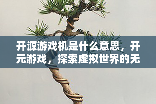 开源游戏机是什么意思,开元游戏,探索虚拟世界的无限可能 开源游戏机是什么意思,开元游戏,探索虚拟世界的无限可能