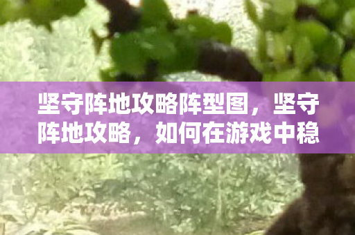 坚守阵地攻略阵型图，坚守阵地攻略，如何在游戏中稳固防线，提升战斗力