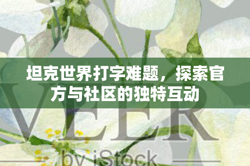 坦克世界打字难题,探索官方与社区的独特互动 坦克世界打字难题,探索官方与社区的独特互动