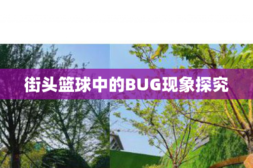 街头篮球中的BUG现象探究 街头篮球中的BUG现象探究